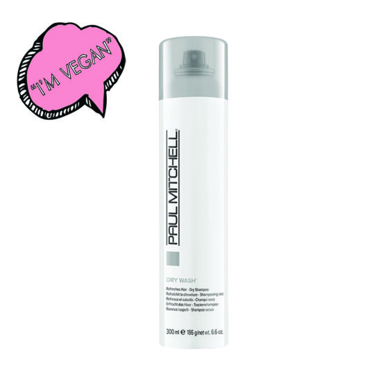 Paul Mitchell Dry Wash 300ml - EARTHLY LOVE