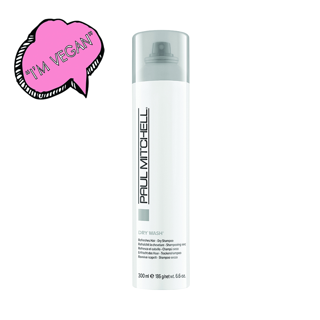 Paul Mitchell Dry 300ml - EARTHLY