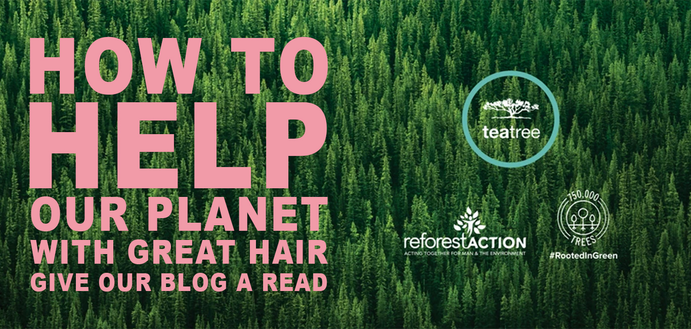 TEA TREE BLOG banner